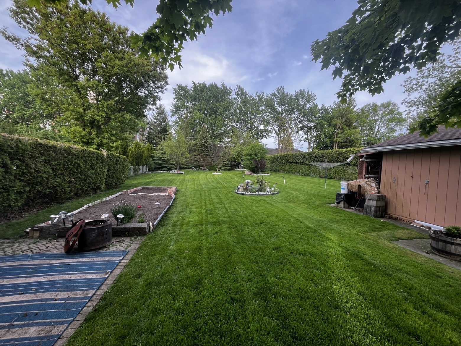 Lawn
